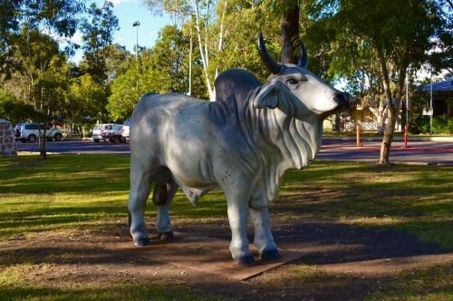 Mareeba Motor Inn4