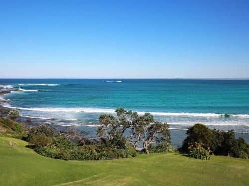 Surfrider Surfrider