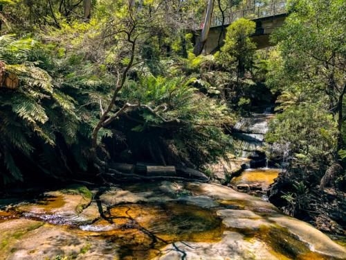 Luxe Mountain Retreat - Katoomba - 4 Bed & Bath3