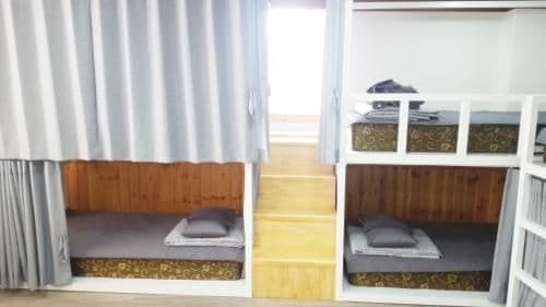 Bed in 8-Bed Mixed Dormitory Room
