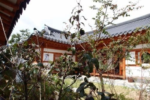 Korean Style Double Room with Private Bathroom