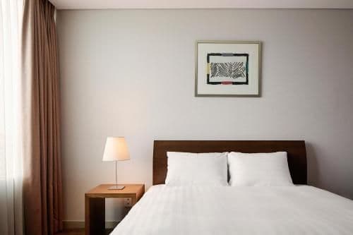 Superior Double Bed (1 Double Bed)