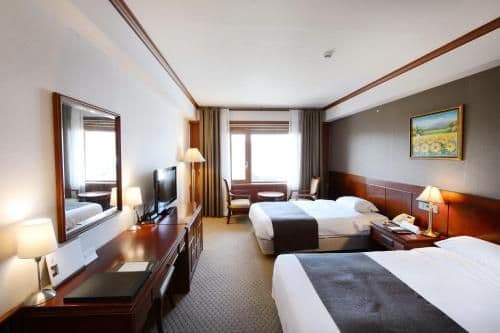 Superior Twin Room with Mountain View