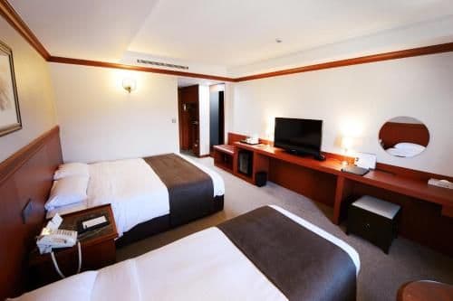 Deluxe Twin Room with Lake View