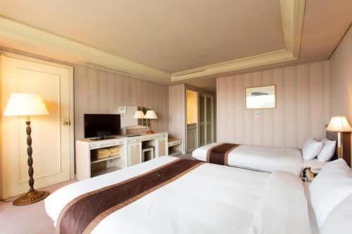 Family Room (3 Adults)