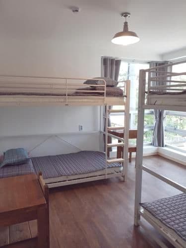 4-Bed Mixed Dormitory Room