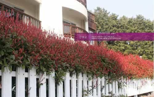 Four Season Pension Four Season Pension