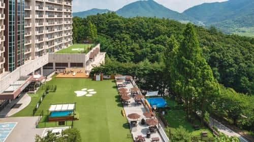 Kensington Resort Chungju Kensington Resort Chungju