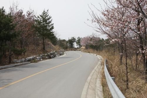 Goodstay Motel Hill3