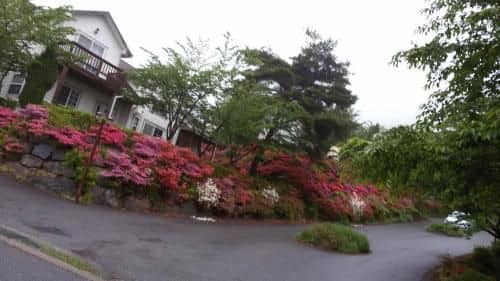 Daecheon Ocean Hill Pension Daecheon Ocean Hill Pension