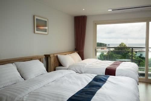 Double Room with Mountain View