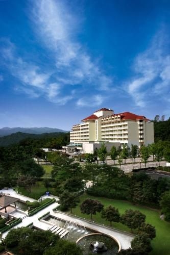 Sono Hue Yangpyeong1