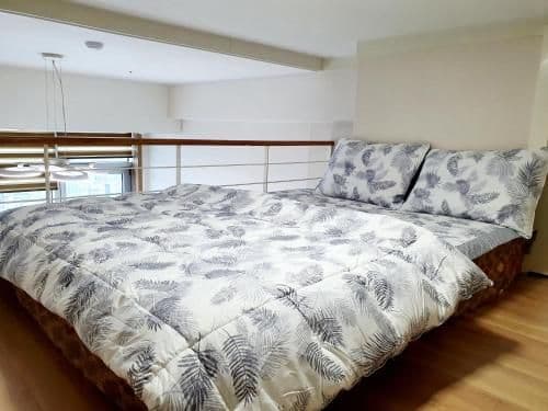 Duplex Apartment