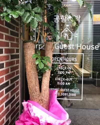 AIRPORT Guesthouse AIRPORT Guesthouse