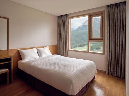 Sonocalm Suite