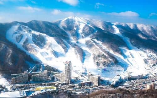 Phoenix Pyeongchang Resort Phoenix Pyeongchang Resort