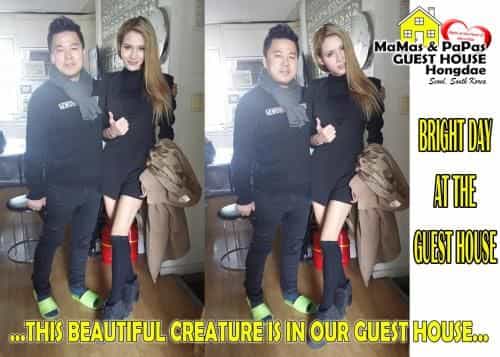 Mamas and Papas Guesthouse and Apartments in Seoul Mamas and Papas Guesthouse and Apartments in Seoul