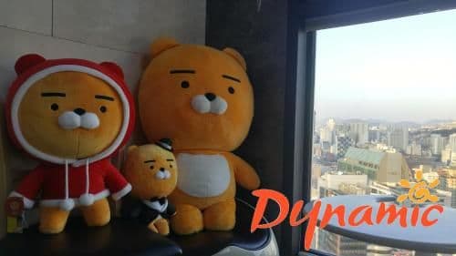 Dynamic Guesthouse Dynamic Guesthouse