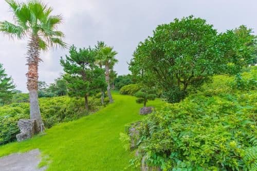 Villa (3 Adults)