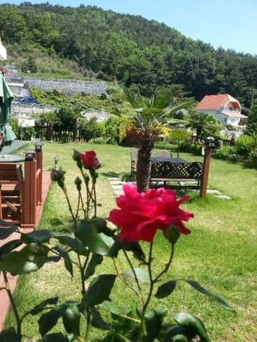 Studio with Garden View