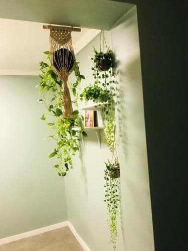Large Single Room