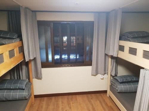 Bed in 6-Bed Female Dormitory Room