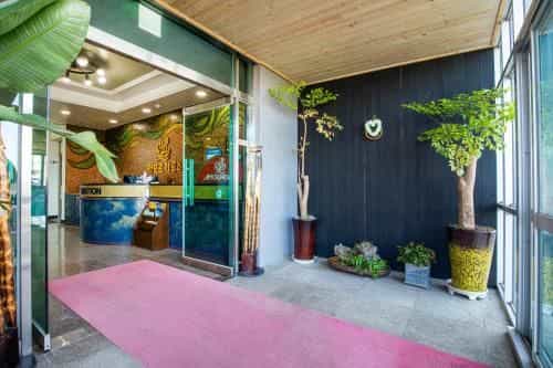 Hotel Amor Hotel Amor