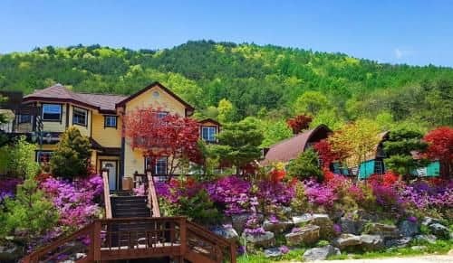 CHAEUL Pension CHAEUL Pension