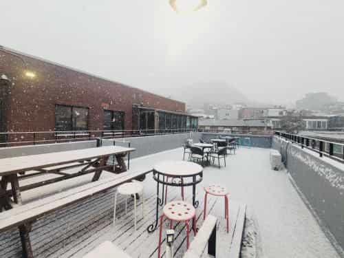 Olive Hostel MyeongDong Olive Hostel MyeongDong