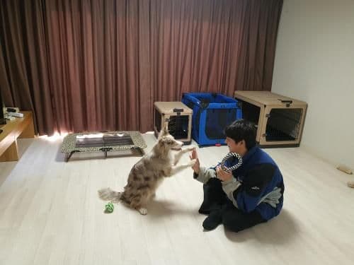 Family Room - Pet-Friendly