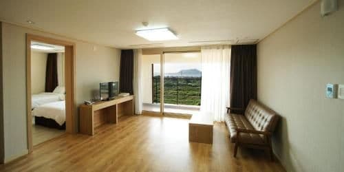 Family Room - Pet-Friendly