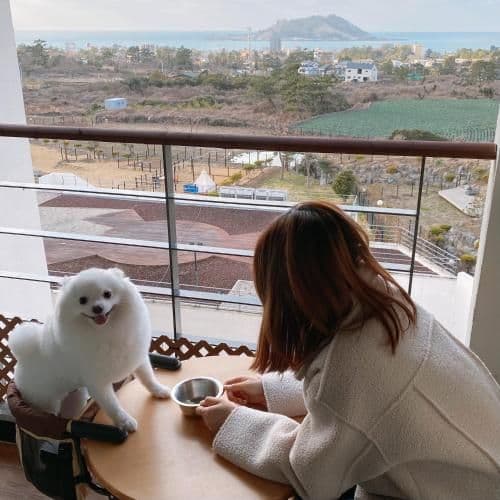 Family Room - Pet-Friendly