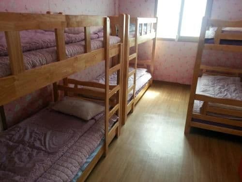 Bed in 8-Bed Female Dormitory Room