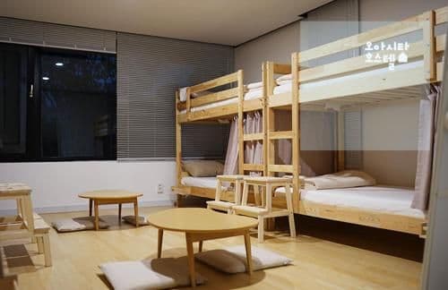 Bunk Bed in Female Dormitory Room