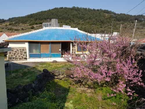 Hamdeok Saeya Saeya House Hamdeok Saeya Saeya House