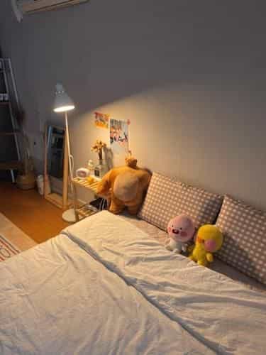 Cozy House Cozy House