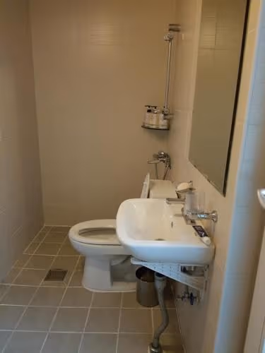 Basic Triple Room