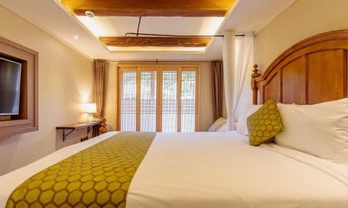 Deluxe Double Room with Garden View