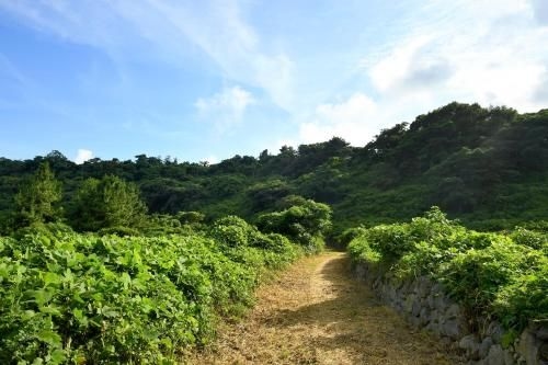 Hidden Cliff Hotel and Nature2