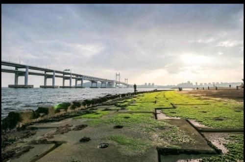 Gwangan bridge Ocean &City View Cozy House1
