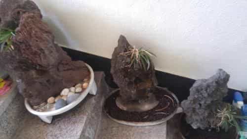 บ้านพักซีดราก๊อน บ้านพักซีดราก๊อน