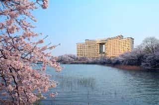Daemyung Resort Gyeongju Daemyung Resort Gyeongju