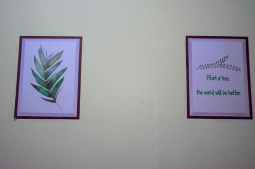 Bed in 8-Bed Mixed Dormitory Room