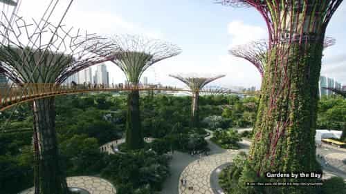 Diamond Hotel Diamond Hotel