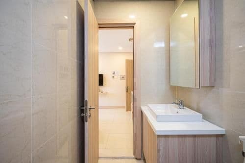 Deluxe Apartment with Window