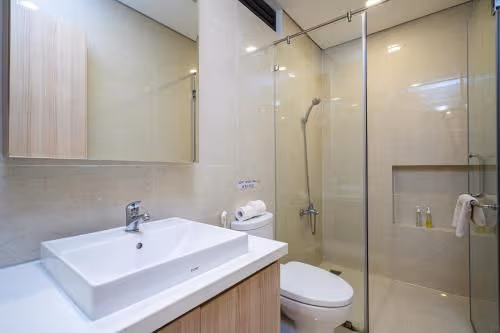 Deluxe Apartment with Window
