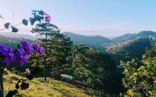 Dalat Memories - Pho Suong Mo Da Lat Dalat Memories - Pho Suong Mo Da Lat