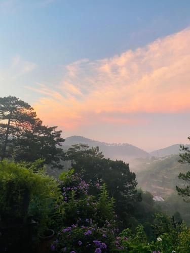 Dalat Memories Homestay - Phố Sương Mờ Đà Lạt (Dalat Memories - Pho Suong Mo Da Lat)4