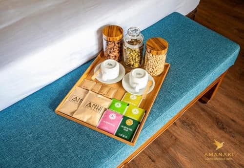 Premium Executive Room