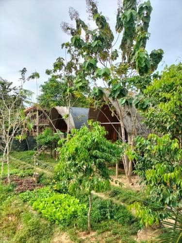 Bungalow with Garden View